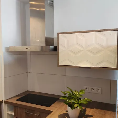 Apartment Centre 15e Near Montparnasse Paris